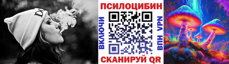 дарк нет состав  Фрязино  Галлюциногенные грибы прущие грибы 
