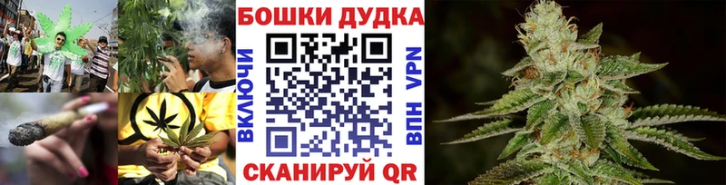 Бошки марихуана White Widow  купить наркотик  Фрязино 